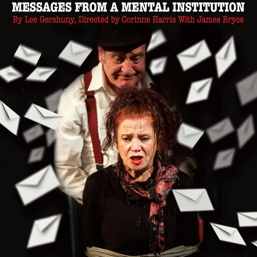 Messages from a Mental Institution Poster